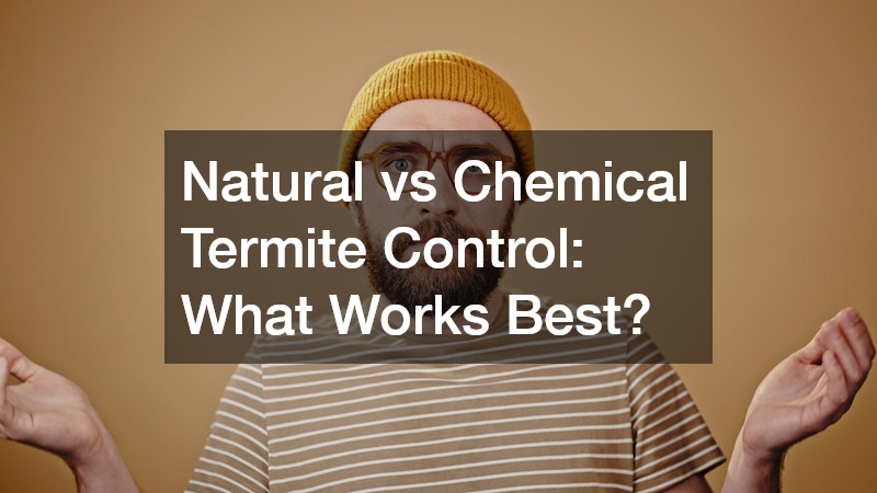Natural vs Chemical Termite Control  What Works Best?
